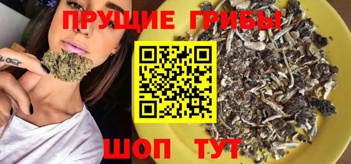 Галлюциногенные грибы мицелий  Вход с VPN  Кубинка 