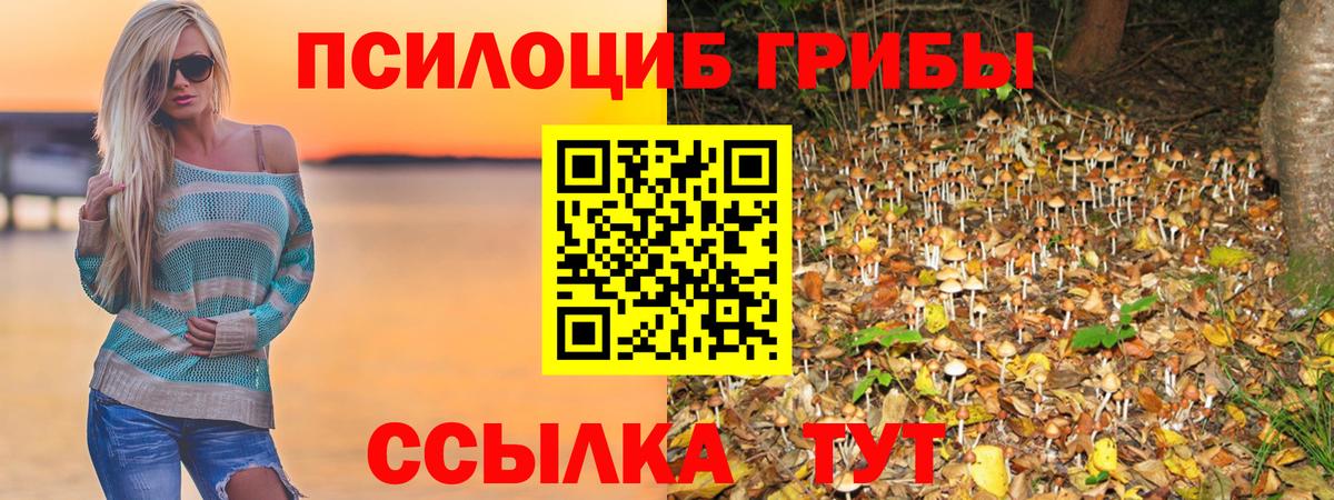 Галлюциногенные грибы Psilocybine cubensis Кубинка